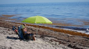 From seaweed to soil: South Florida beach town finds a solution to a stinky problem