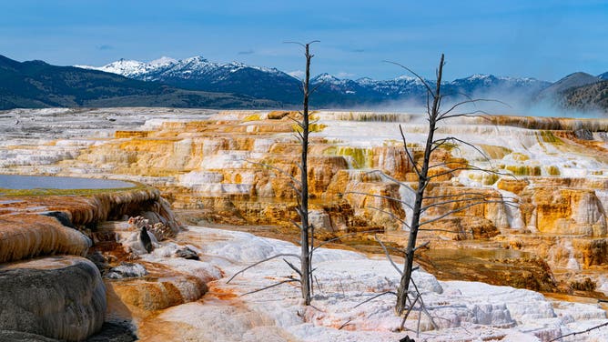 FILE - General view of 'Old' Canary Spring in Mammoth Hot Springs at Yellowstone National Park on May 27, 2021 in Yellowstone National Park, Wyoming. (Photo by AaronP/Bauer-Griffin/GC Images)