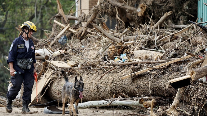 A member of the FEMA Urban Search and Rescue Task Force searches a flood-damaged property with a search canine in the aftermath of Hurricane Helene along the Swannanoa River on October 4, 2024 in Asheville, North Carolina.