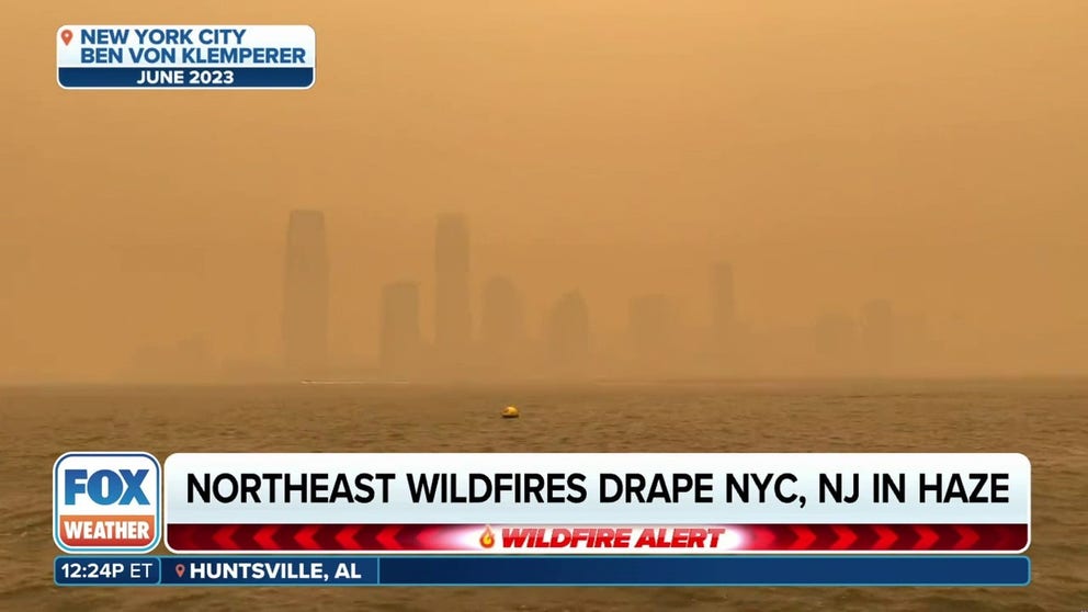 Pulmonologist Dr. Michael Niederman, of Weill Cornell Medicine and New York-Presbyterian, joins FOX Weather to explain how everyone can monitor the air quality conditions. Smoke inhalation can greatly impact those with heart and lung conditions. Dr. Neiderman said the best thing you can do is prevent exposure but if not wear a mask.