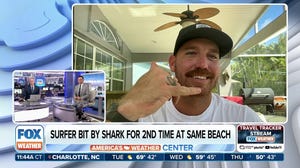 Florida surfer bit by shark for second time at same beach