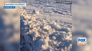 GRAPHIC: Dozens of pronghorn killed in Colorado seeking refuge from deep field snow