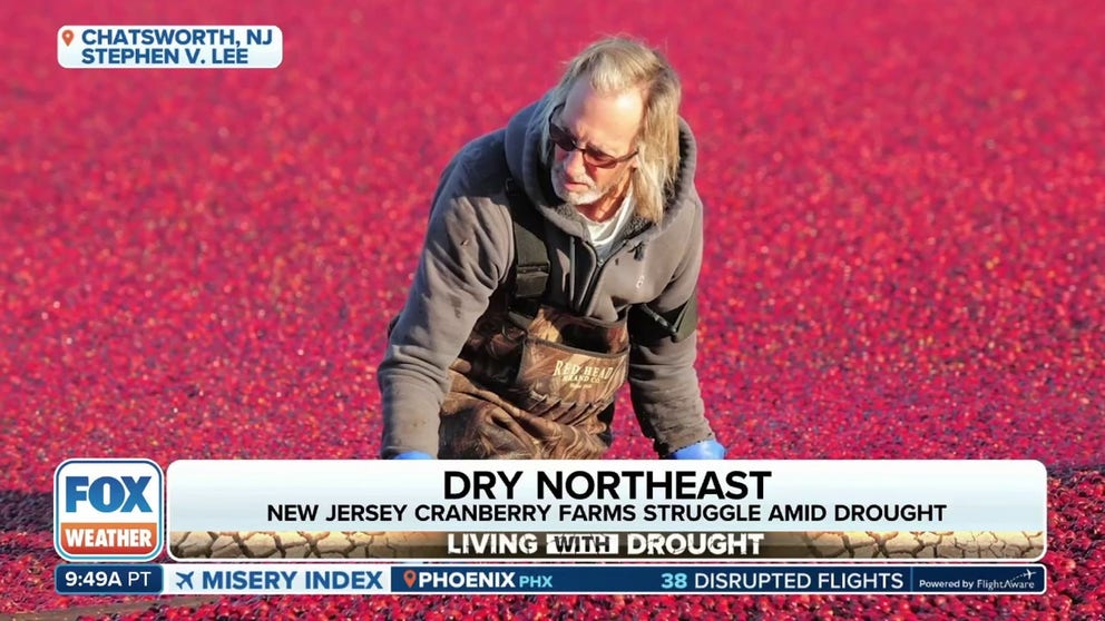 Sixth-generation cranberry farmer Stephen V. Lee, IV in Chatsworth, New Jersey, spoke about how the recent drought is affecting his family farm. Nov. 13, 2024.