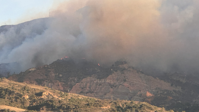 Horses Rescued From Mountain Fire