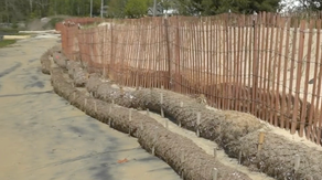 How coconuts are being used to save New Jersey beaches from erosion